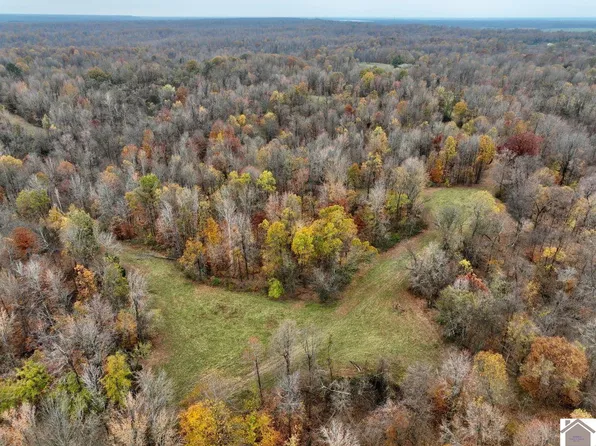 0 Beech Grove Rd, Hickman, KY 42050
