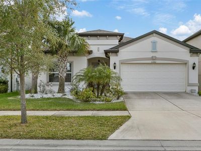 30462 Caravelle Ln, Wesley Chapel, FL, 33545