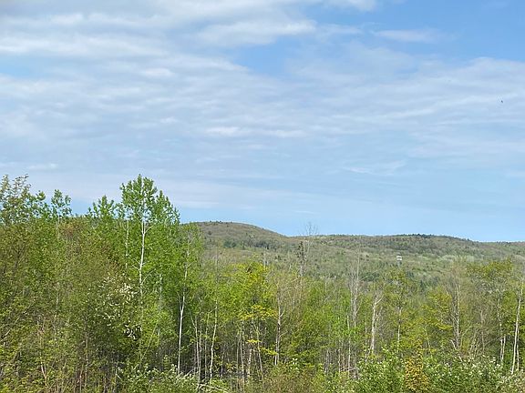 3rd image of Lot #042 Tower Road #M 005 L 042