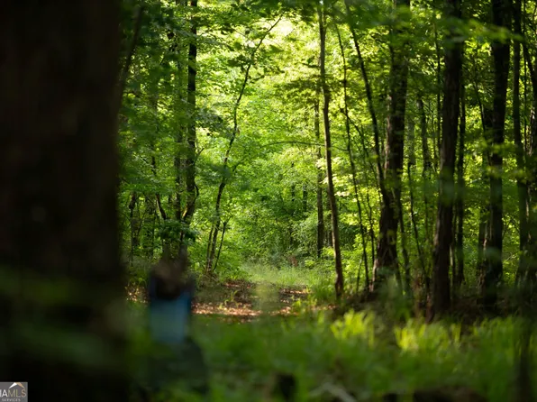 2719 Silas Mercer Rd NE, Crawfordville, GA 30631