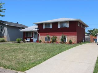 4259 Holl Ave, Sheffield Lake, OH 44054