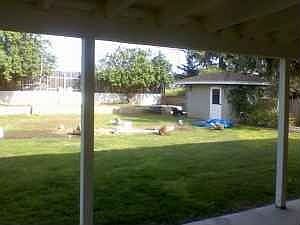 10,000 SF pool ready backyard