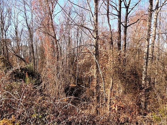 5th image of 0 Longview Dr