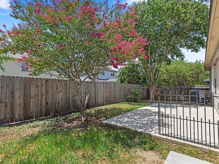 143 Blue Juniper — Photo 20