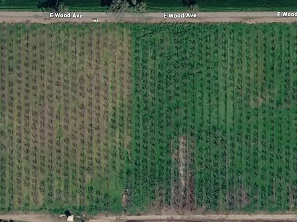 21600 Cedar Ave, Laton, CA 93242