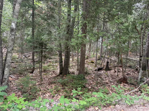 00 Young’s Point Road, Brooksville, ME 04617
