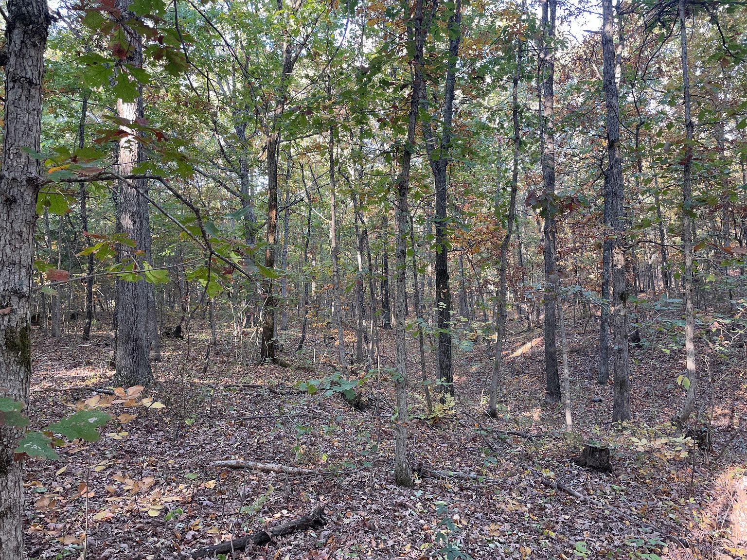 State Highway 17 LOT WP001, Bucyrus, MO 65444 Zillow