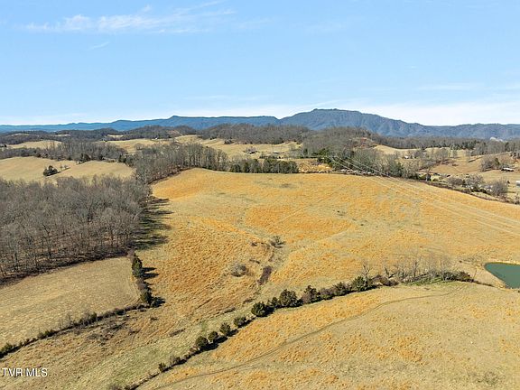 3rd image of 5 Tennessee #93