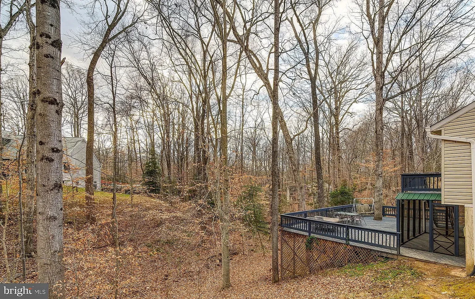 1 bed, 900 sqft, $1,600 — Photo 3