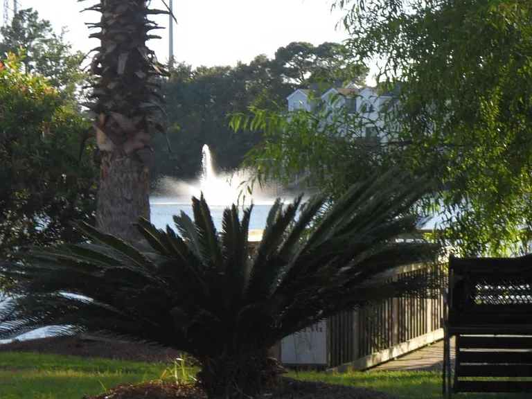 View of the lake from within the community