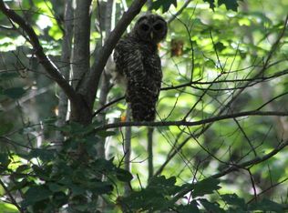 LOT 19/44 River Rd, Bucksport, ME 04416