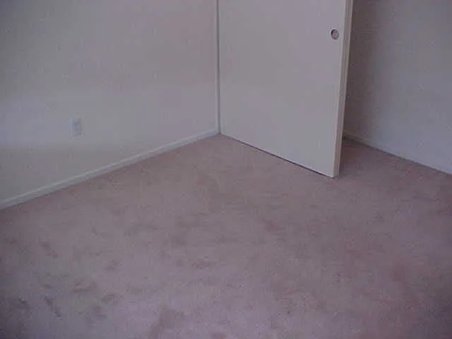 1267 W Vaquero Ct W — Photo 8