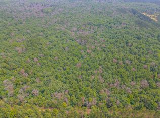 N Peacock Trl, Irons, MI 49644