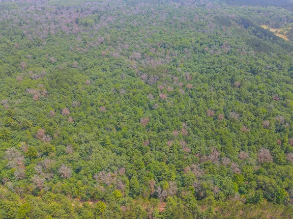 N Peacock Trl, Irons, MI 49644