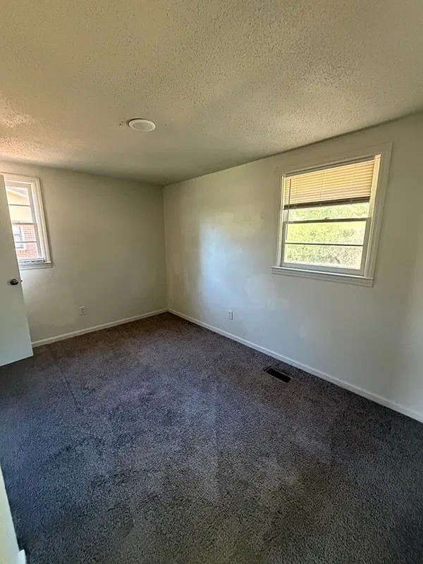 213 Elliott St — Photo 4
