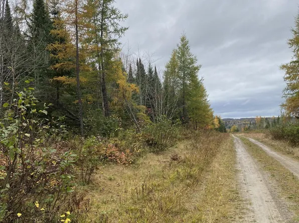 Lot# 82.6 Stockholm Road, Connor Twp, ME 04736