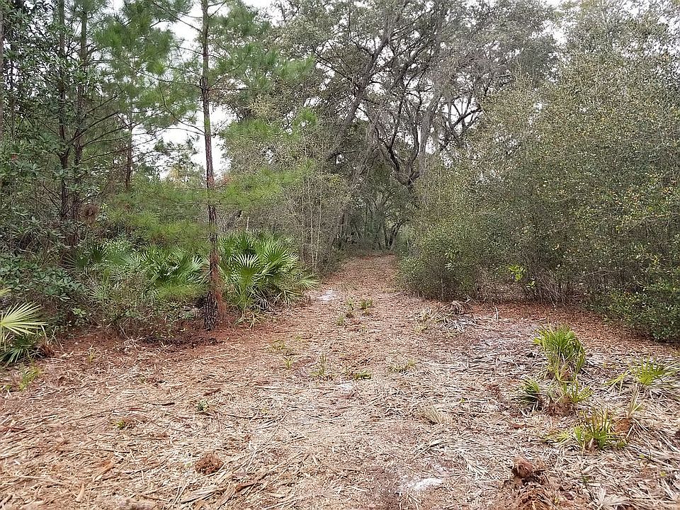 1st image of 307 Downhill Trl