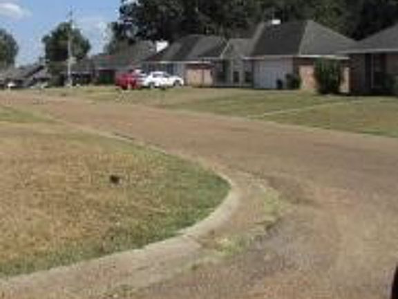 Exterior Neighborhood (street photo)