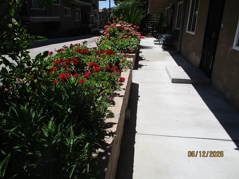 3227 Altura Ave #3 — Photo 14