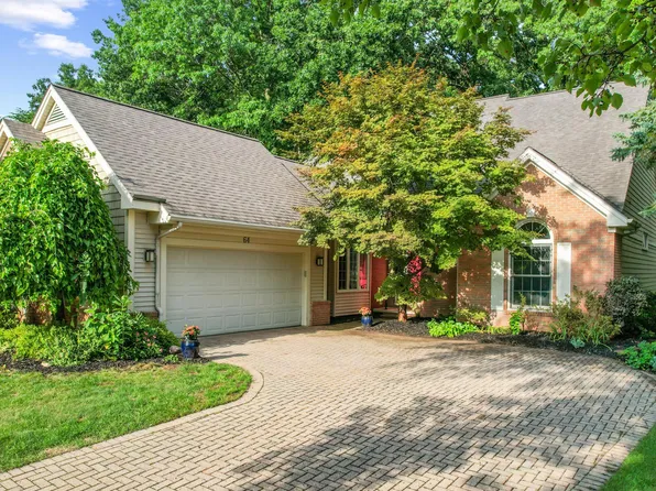 64 Chestnut Ct, Chelsea, MI 48118