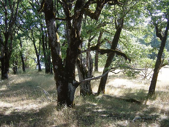 5th image of 1880 Vista Del Lago Road