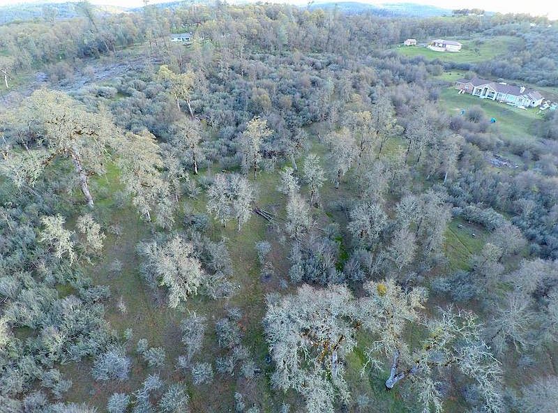 1st image of 9580 Quail Meadow Ln