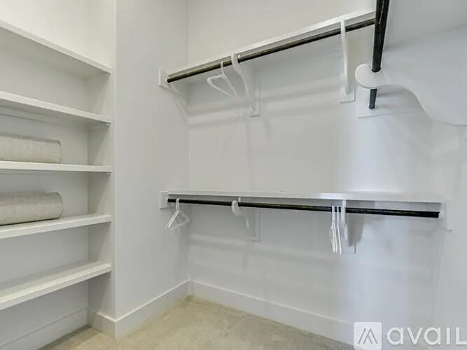Primary walk-in closet (one of two primary closets)