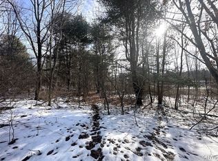 Pigtail Rd, Friendship, NY 14739