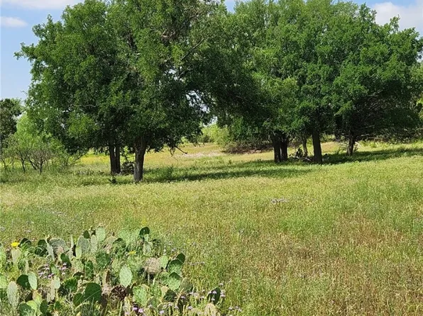 Fm 2313, Kempner, TX 76539