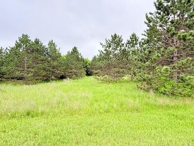 Tbd Shelby Dr NE, Bemidji, MN, 56601