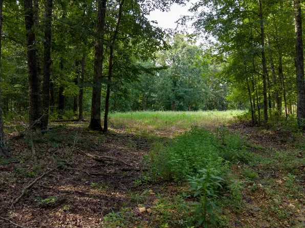 0 Highway 230, Waverly, TN 37185