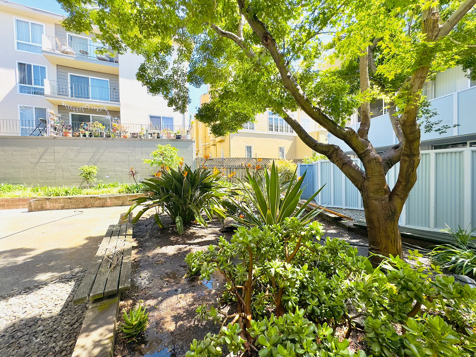 Excelsior Court — Photo 3