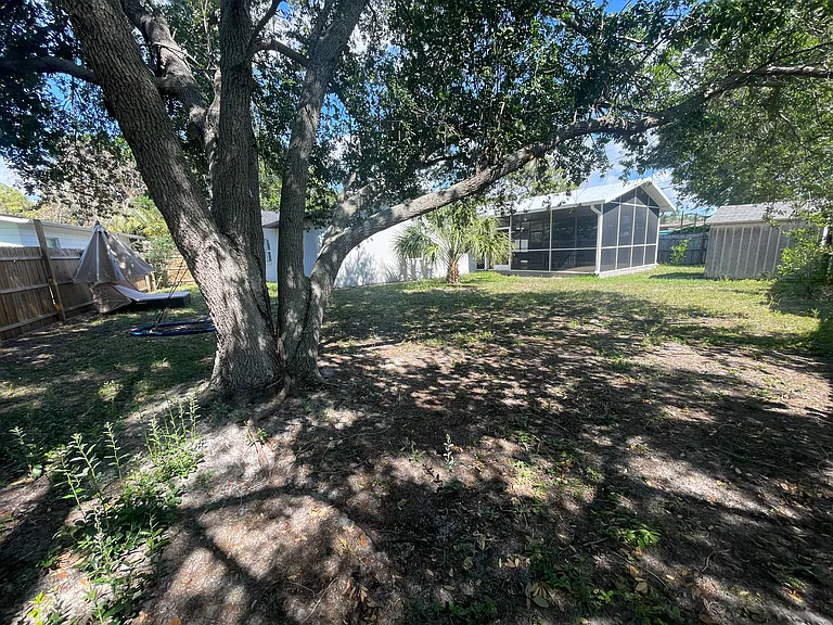 Backyard