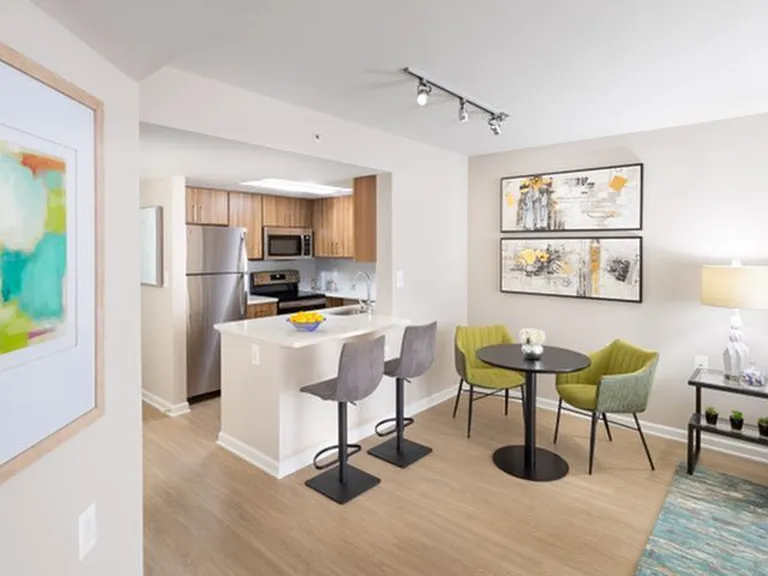 Newly Renovated With Wood-Style Flooring