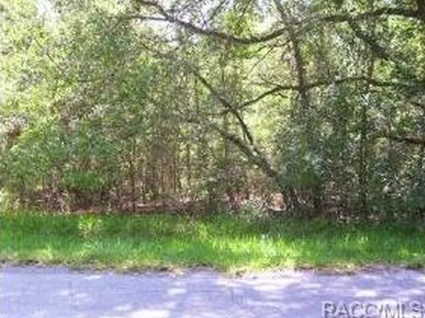 3958 E Ryan St, Inverness, FL 34453