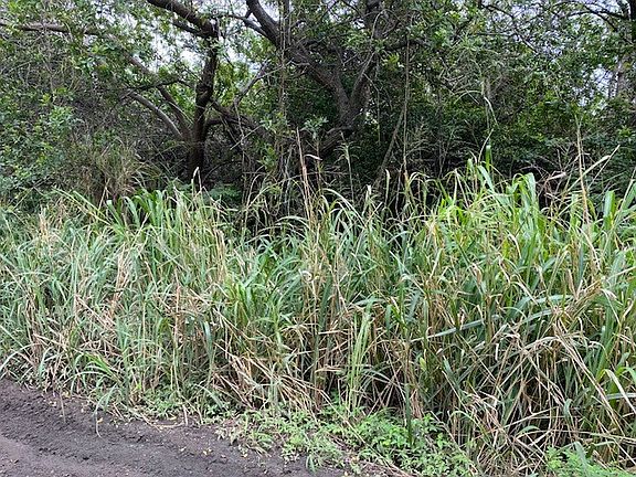 2nd image of Kekuhaupio Rd Lot 7