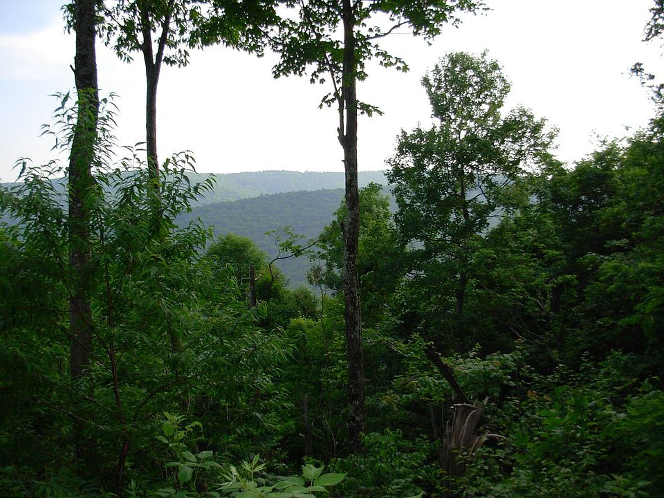 2nd image of Harris Dr
