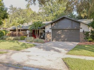 440 Hickorynut Ave, Oldsmar, FL 34677