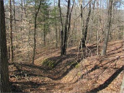 7950 Westport Rd, Westport, TN, 38387