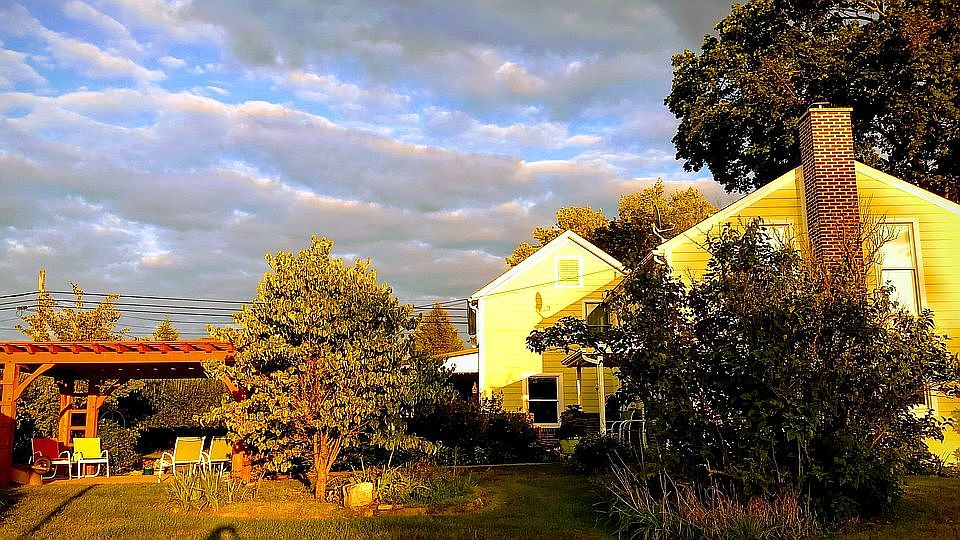 Yard view