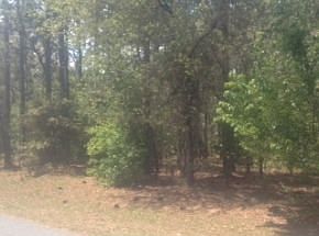 4th image of 4364 N Mayan Dr