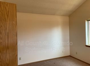 251 E Lake Ave, Woodland Park, CO 80863