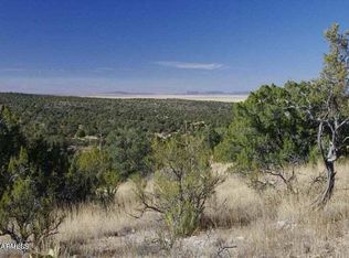 29745 W Rock Ridge Rd, Seligman, AZ 86337