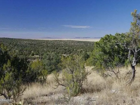 29745 W Rock Ridge Rd Road #-, Seligman, AZ 86337