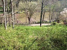2nd image of 169 Lake Shore Dr