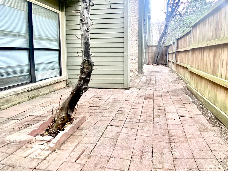 Fenced in private backyard