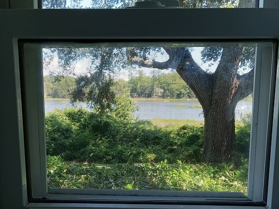 View out the back bedroom window -- peaceful to me... not sure about you!