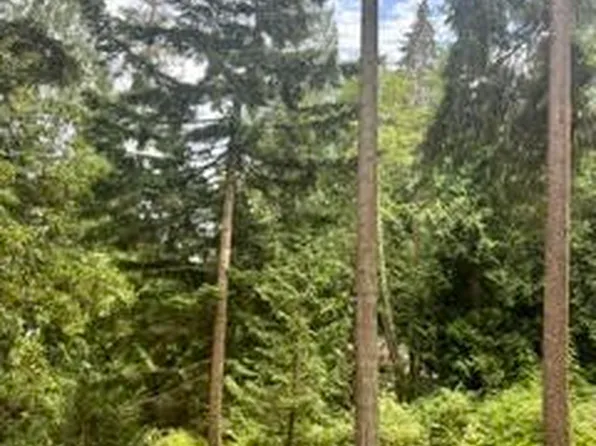 1131 Harbortop Ter, Greenbank, WA 98253
