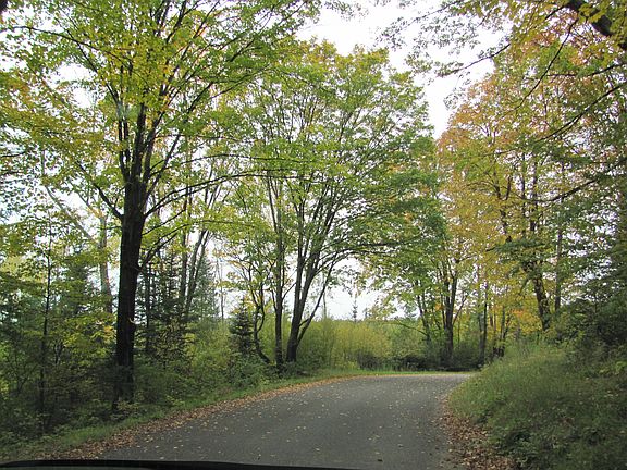 scenery along Frontier Road