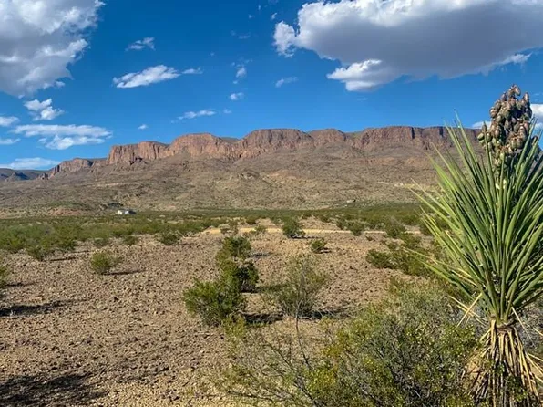 500 Virgil Clark Rd, Terlingua, TX 79852